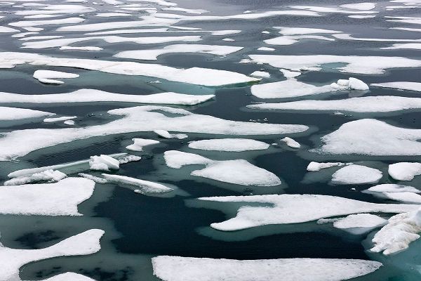 Su, Keren 아티스트의 Floating ice in Chukchi Sea-Russian Far East작품입니다.
